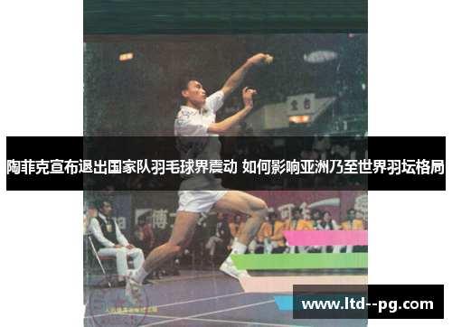 陶菲克宣布退出国家队羽毛球界震动 如何影响亚洲乃至世界羽坛格局